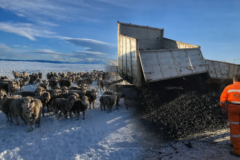 20619deb-76ca-4f3c-9dfb-f4ce7d959e91