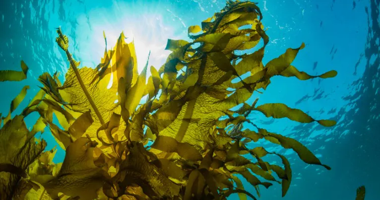 Captura de pantalla 2025-12-16 105144