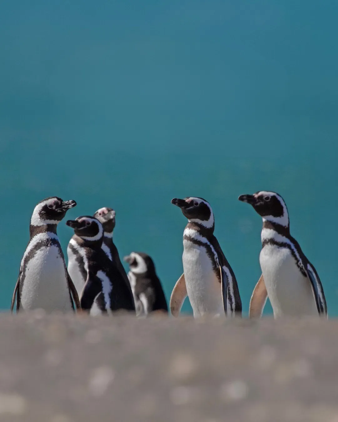 babe16f0-b5d7-4856-8366-50cf80b80cd5