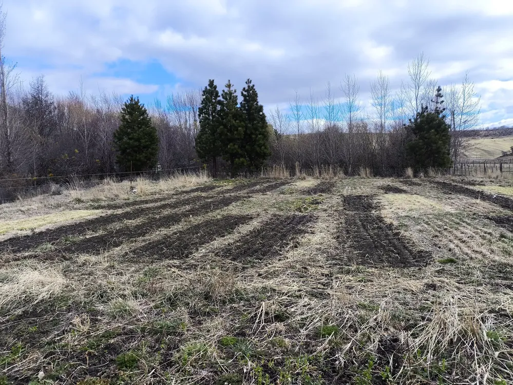 557991184_1233975275439136_1904509949855056541_n