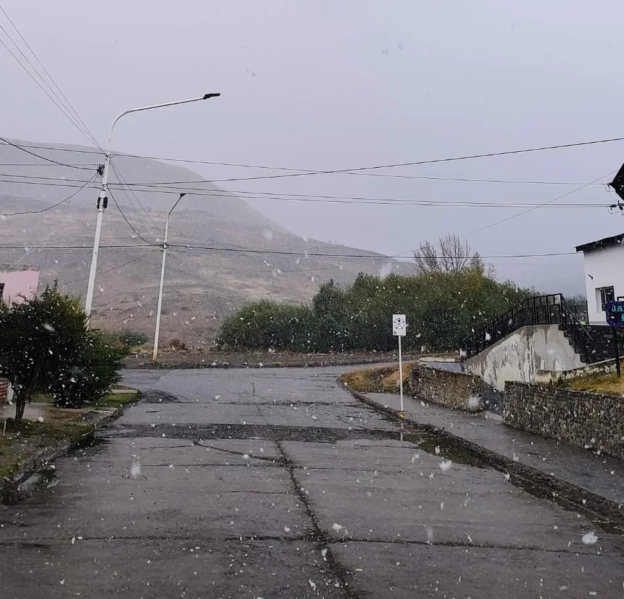 WhatsApp Image 2026-03-24 at 10.21.10