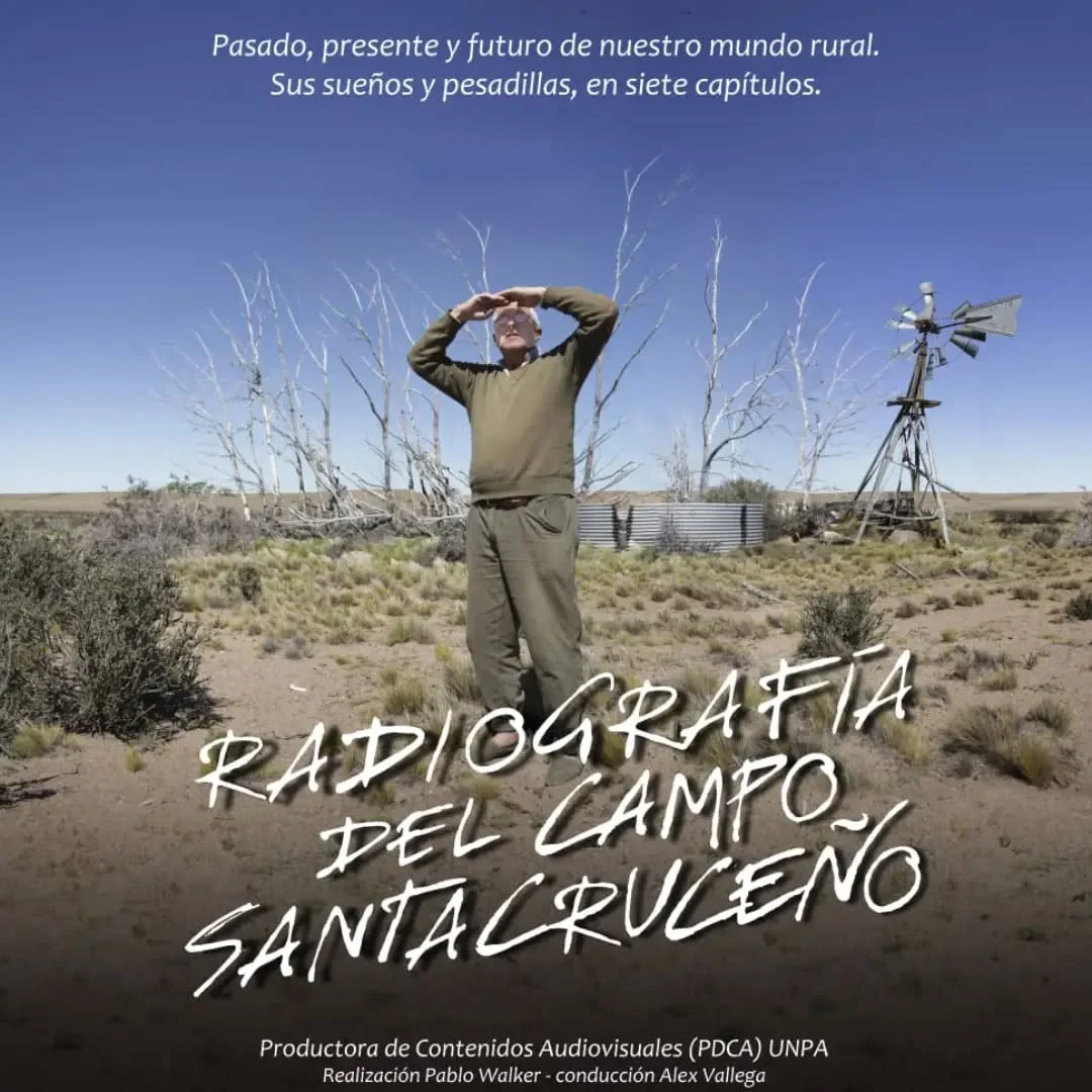 radiografia