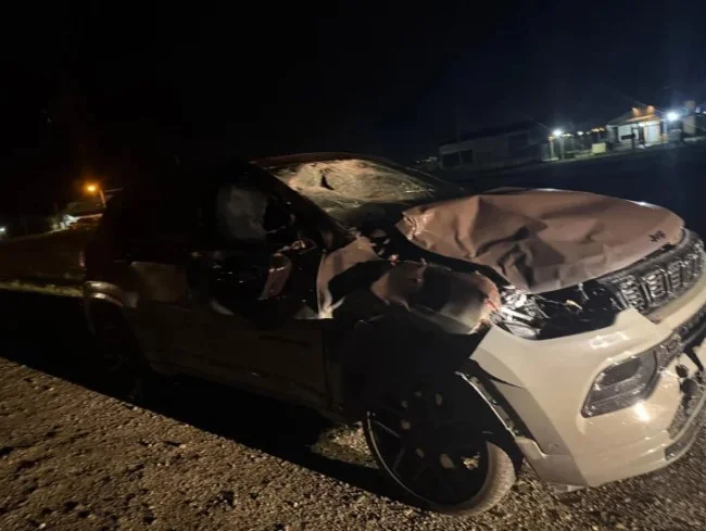 Captura de pantalla 2026-03-16 102251