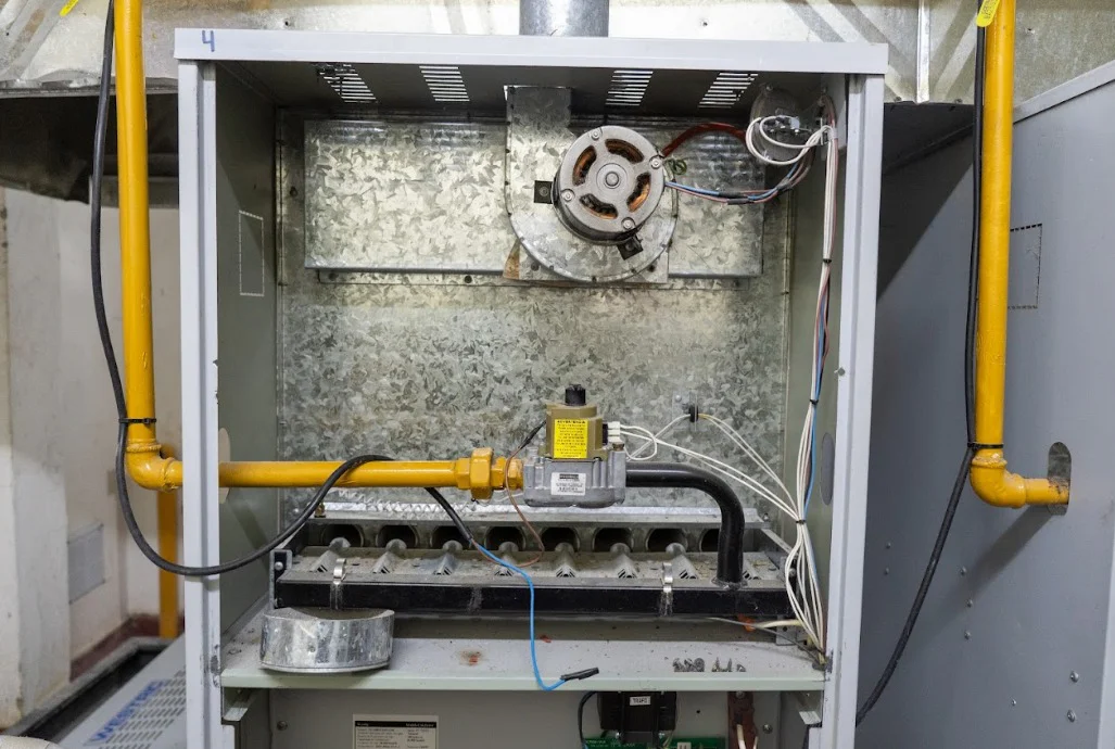 RECORRIDA_EPP_44_Y_46_10