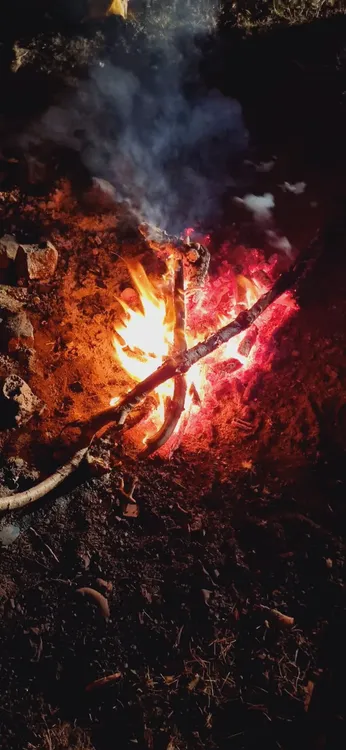 WhatsApp_Image_2026-01-23_at_4.23.43_PM_1