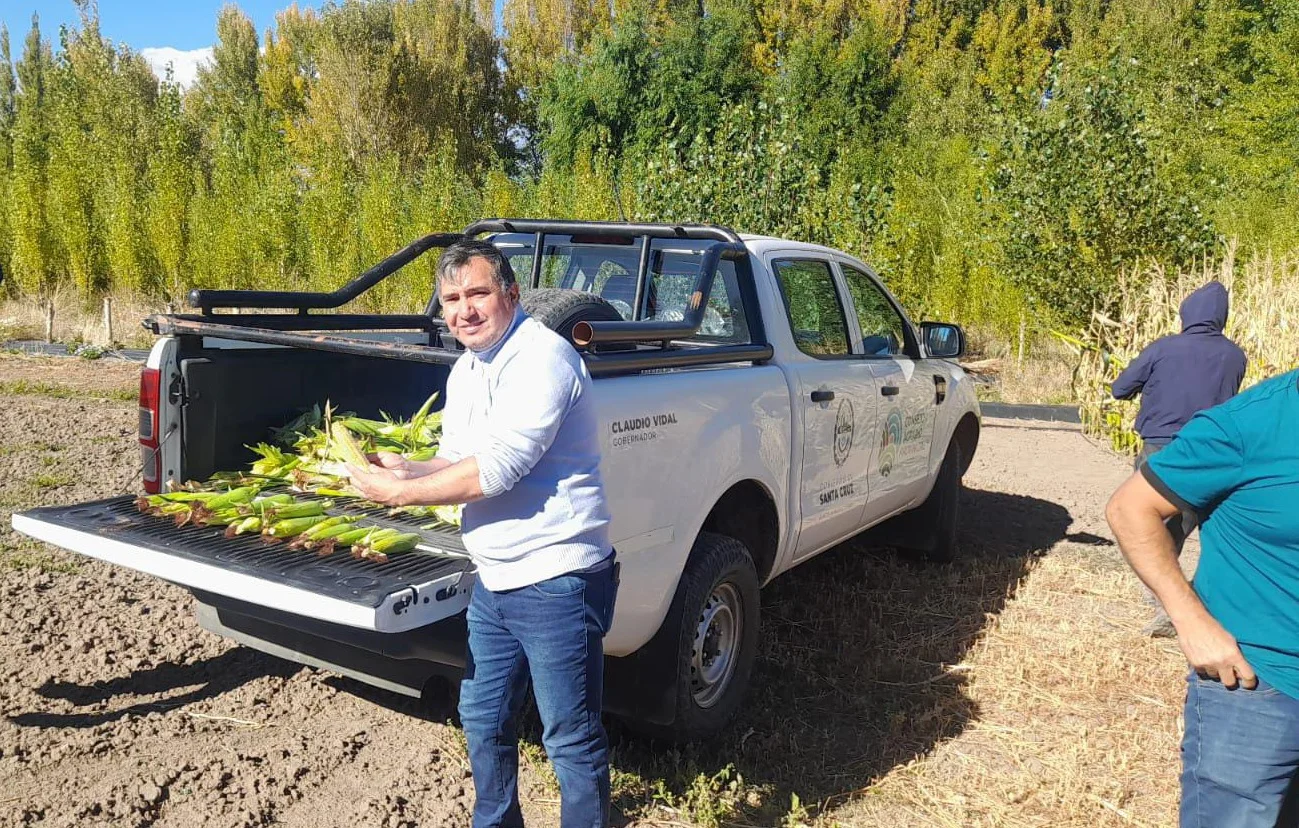 Choclo_Perito_Moreno_d