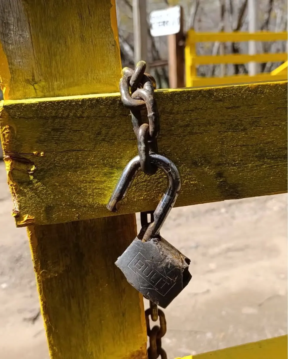 565701574_122117786180993349_329567989820708663_n