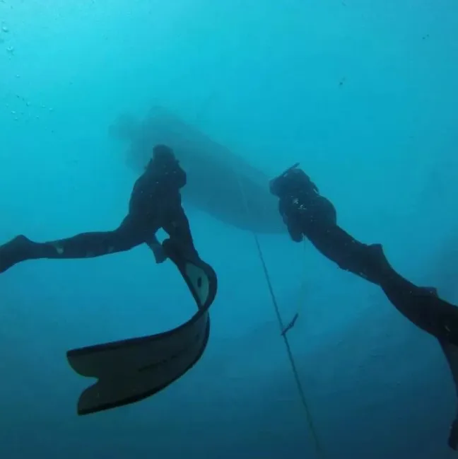 Captura de pantalla 2026-02-17 143440