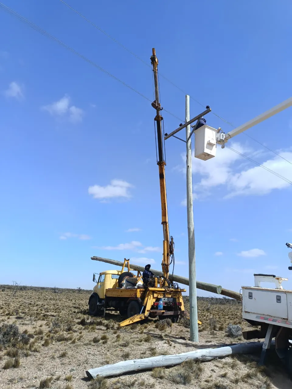 WhatsApp_Image_2025-11-19_at_8.08.48_AM