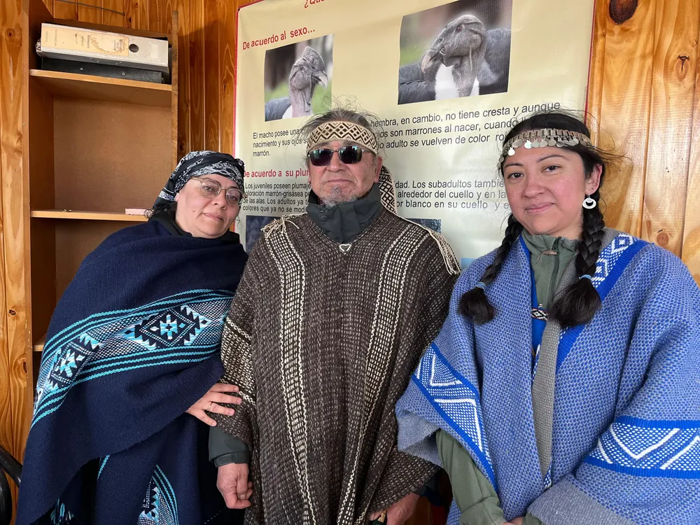 Imagen de WhatsApp 2025-10-09 a las 13.01.28_48eaca57