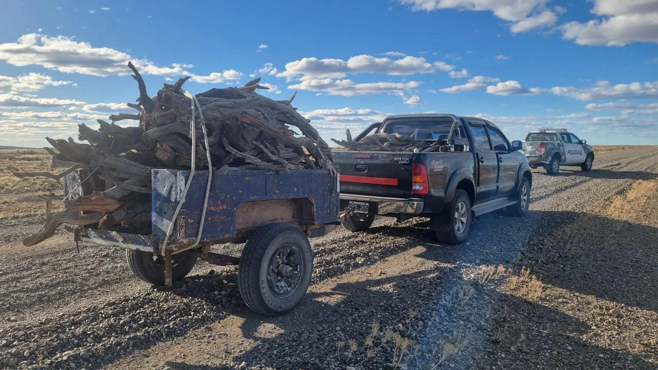 eaba28dd-5503-4ee7-950c-6d7873add47d