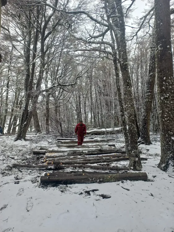 WhatsApp_Image_2025-09-30_at_11.08.46_AM_1