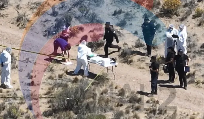 Captura de pantalla 2026-01-21 154029