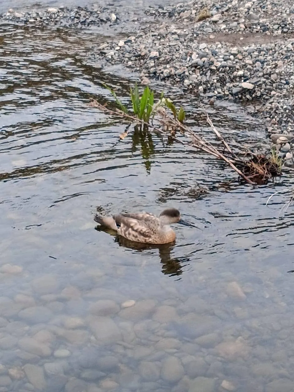 592877000_25972276672380231_8657887978237068850_n