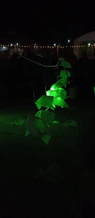 657831744_10215923269511226_29834892047285029_n