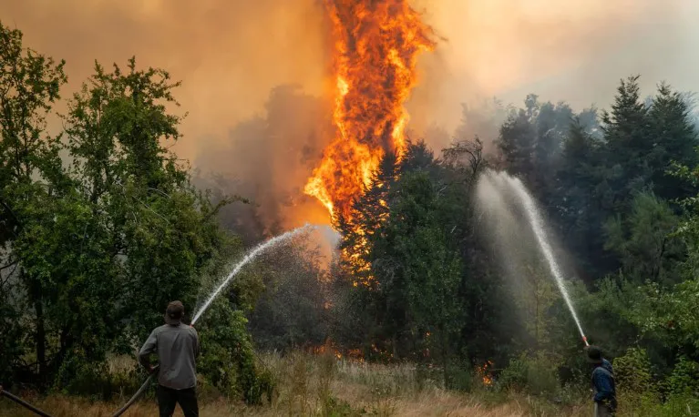 Captura de pantalla 2026-01-30 122325