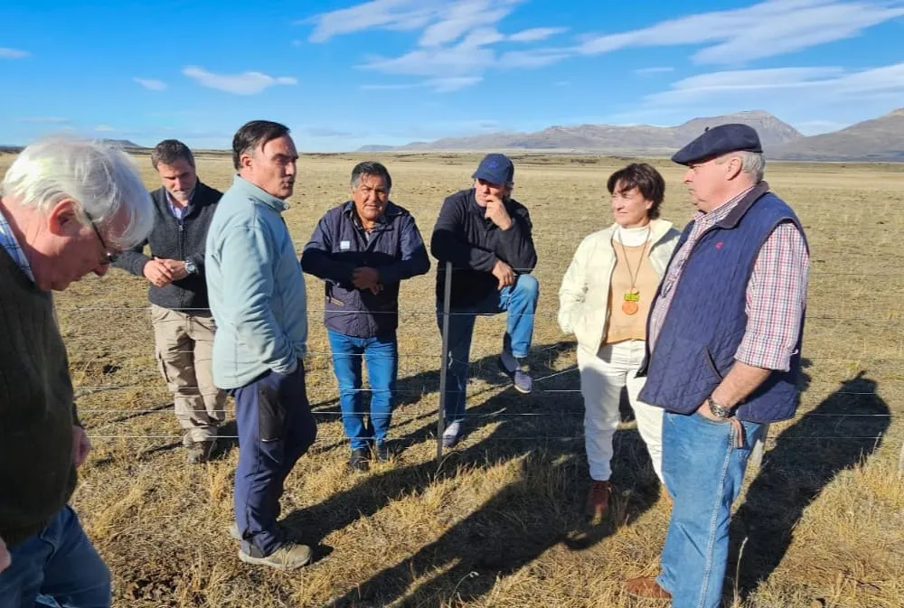 WhatsApp_Image_2025-09-10_at_20.58.46