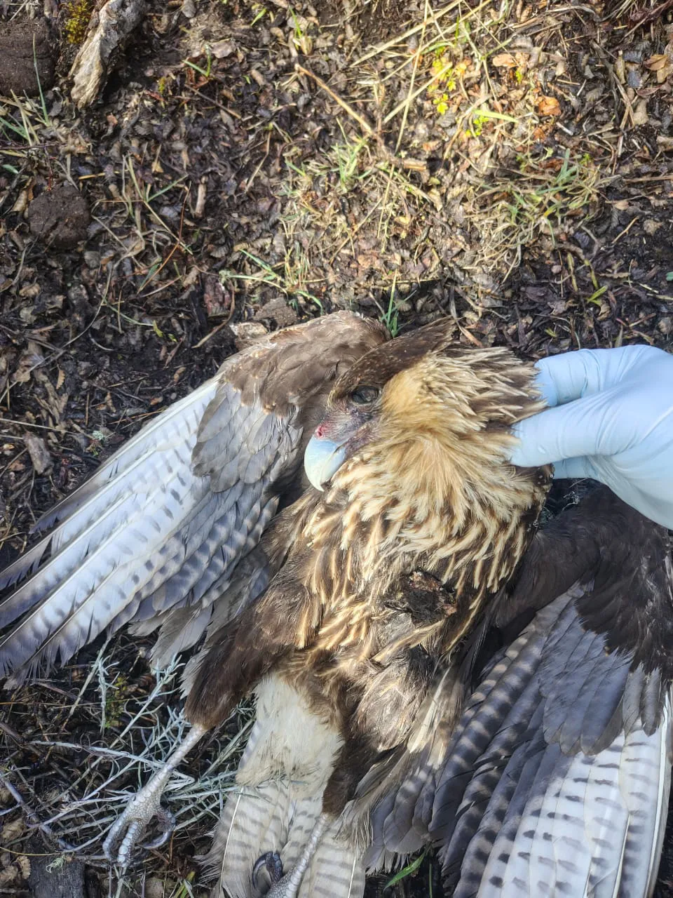 WhatsApp_Image_2025-09-17_at_09.56.38