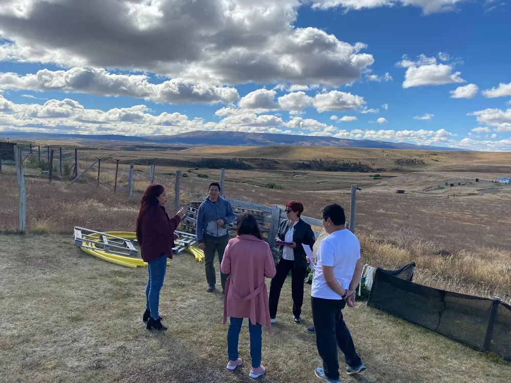 653362496_122492426990029816_2226416280224805887_n