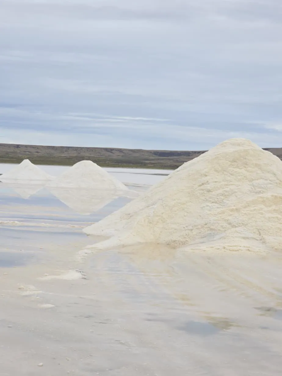 WhatsApp_Image_2026-01-23_at_2.28.12_PM_1