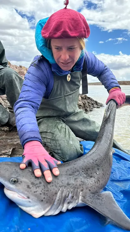 WhatsApp_Image_2026-01-19_at_14.36.15