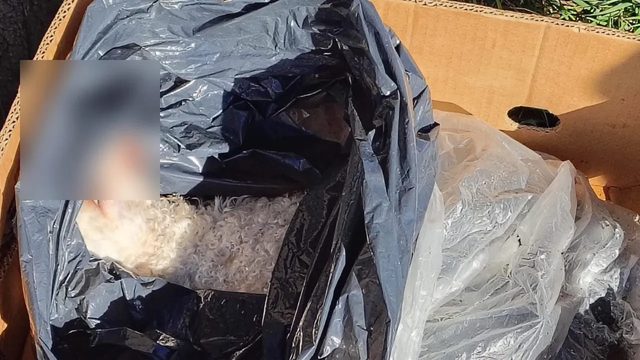 4f55d278-e1e1-4016-a934-5f25b8fb86d7