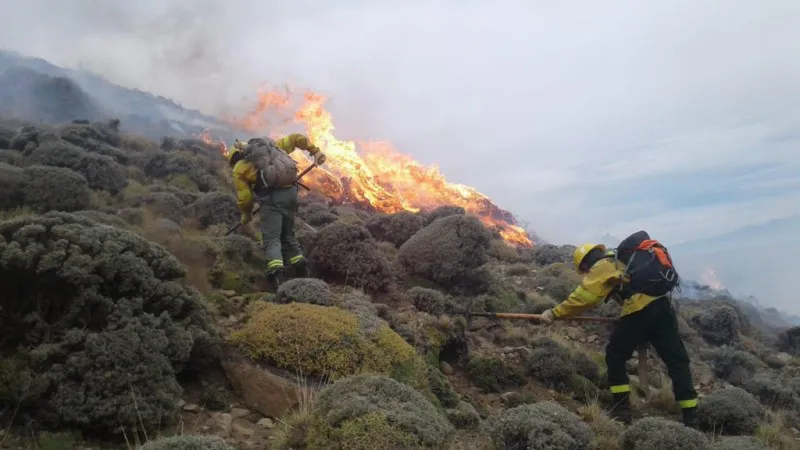 695fb5a5a9254_800_450!