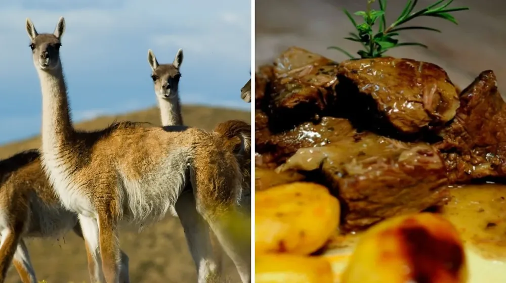 KBLXPDGLEZCZ5JTQCEST2TSDJA