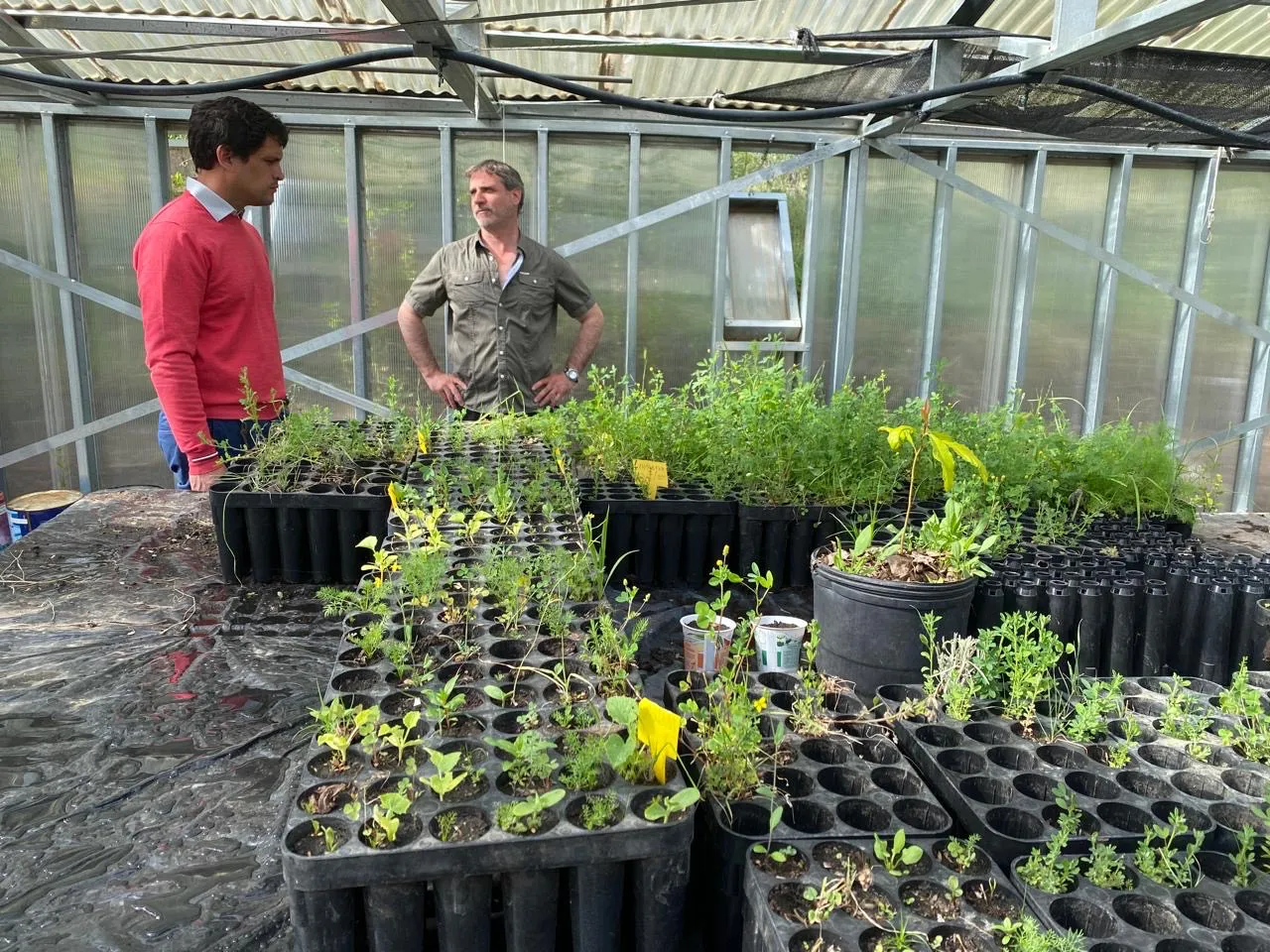 f5410180-d208-4812-b025-f99e7c033864