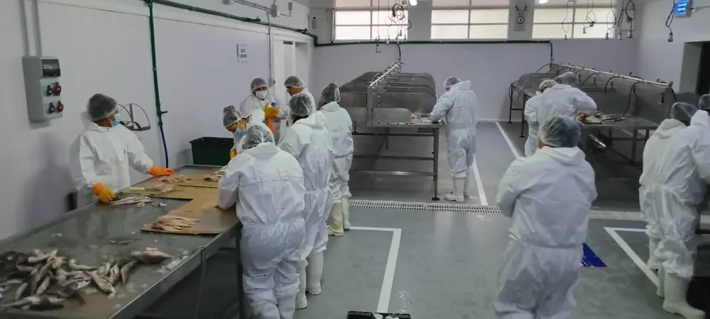 WhatsApp_Image_2025-09-30_at_22.10.49_2