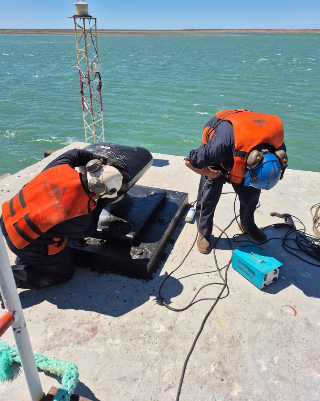 WhatsApp_Image_2026-01-11_at_8.43.31_PM