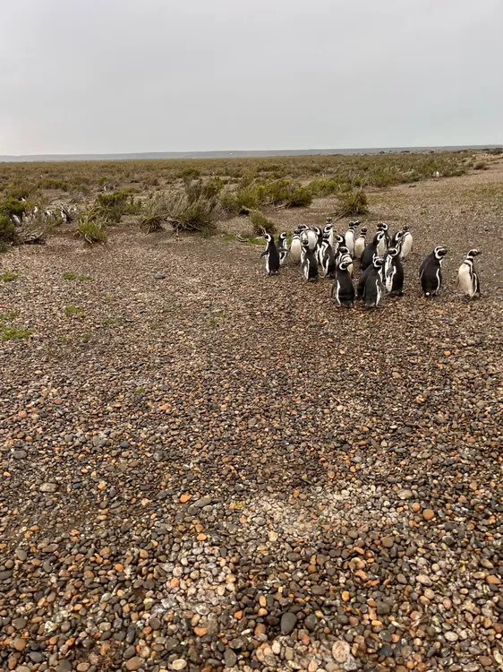 WhatsApp_Image_2025-12-11_at_15.12.14