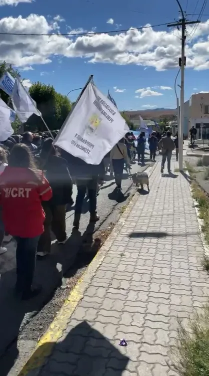 WhatsApp Image 2026-02-19 at 12.53.46