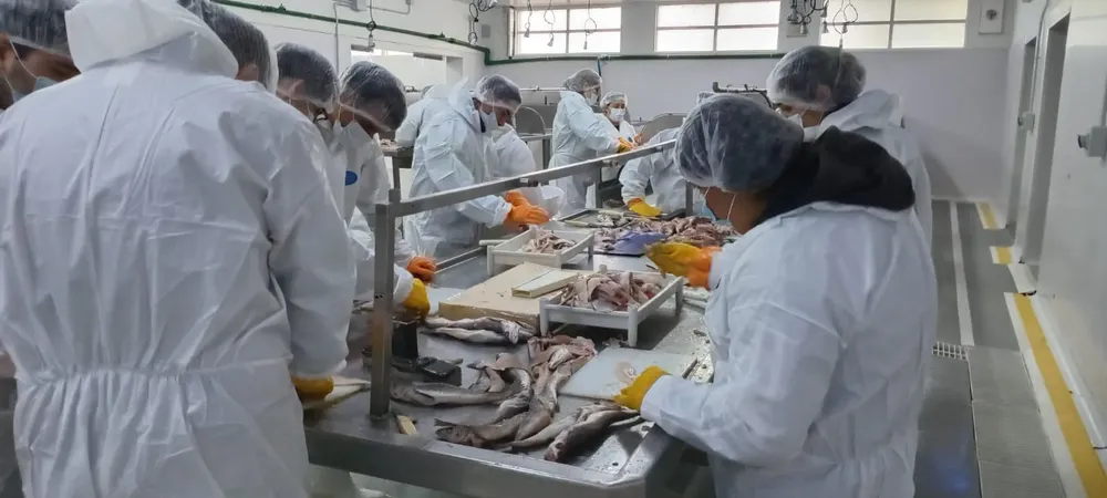 WhatsApp_Image_2025-10-24_at_4.47.08_PM