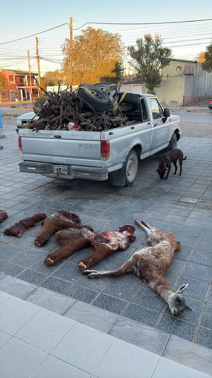 c50fe87f-8d5c-448f-9bbb-eb1fcfe34085