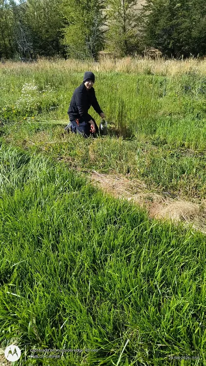 645429178_1360051616164834_6104851994343276716_n