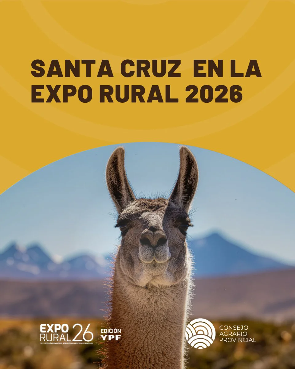 portada25403