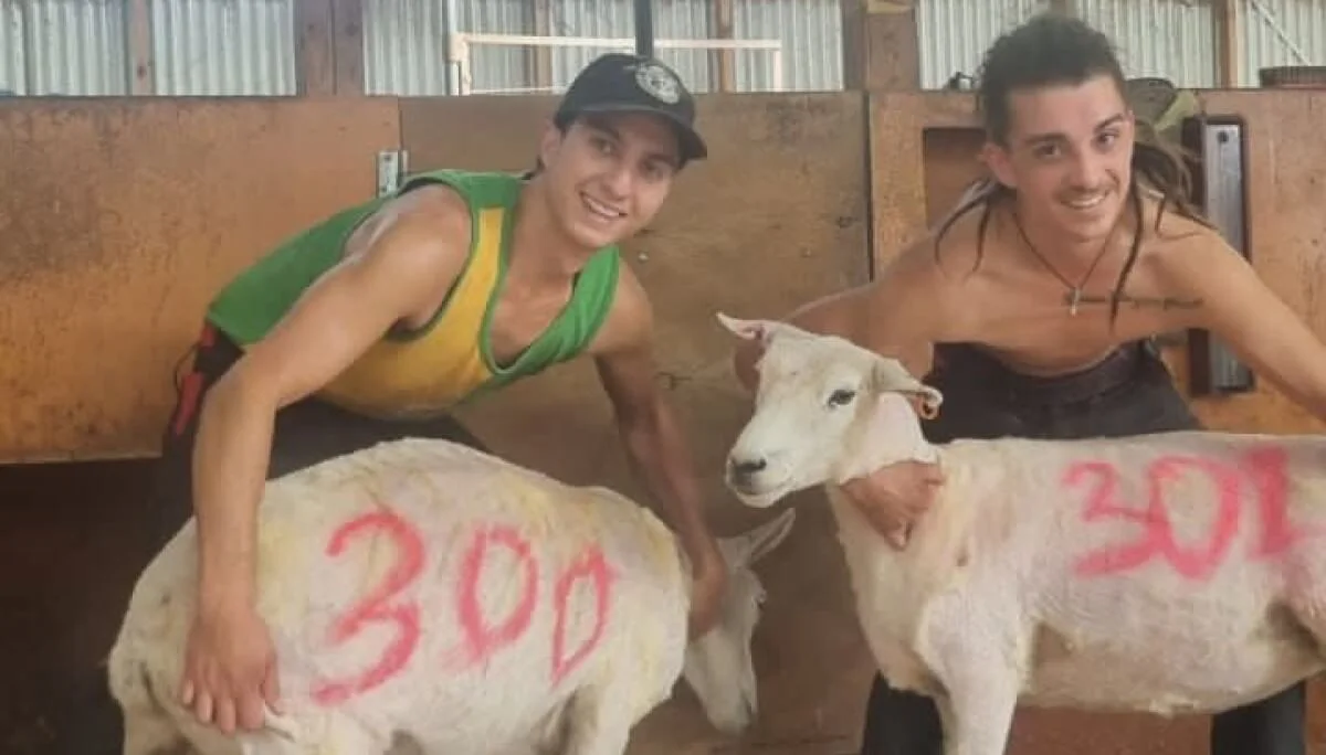 Lucas_Daniel_300ovejas