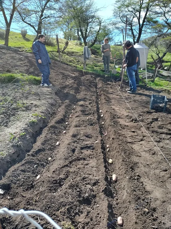 568571971_1253899893446674_5077118535971956586_n