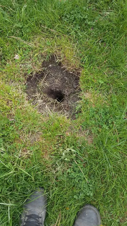 581931313_2357305818045844_6782863173220585365_n