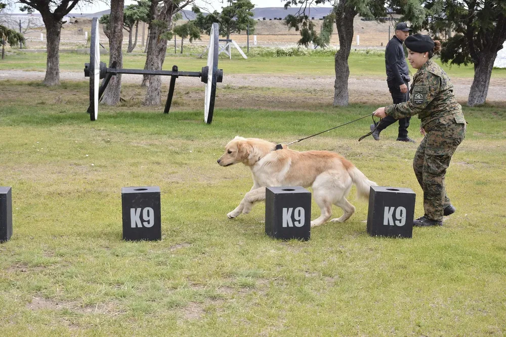 20260130_POLICIA_DIVISION_CANES-51_-_-_-