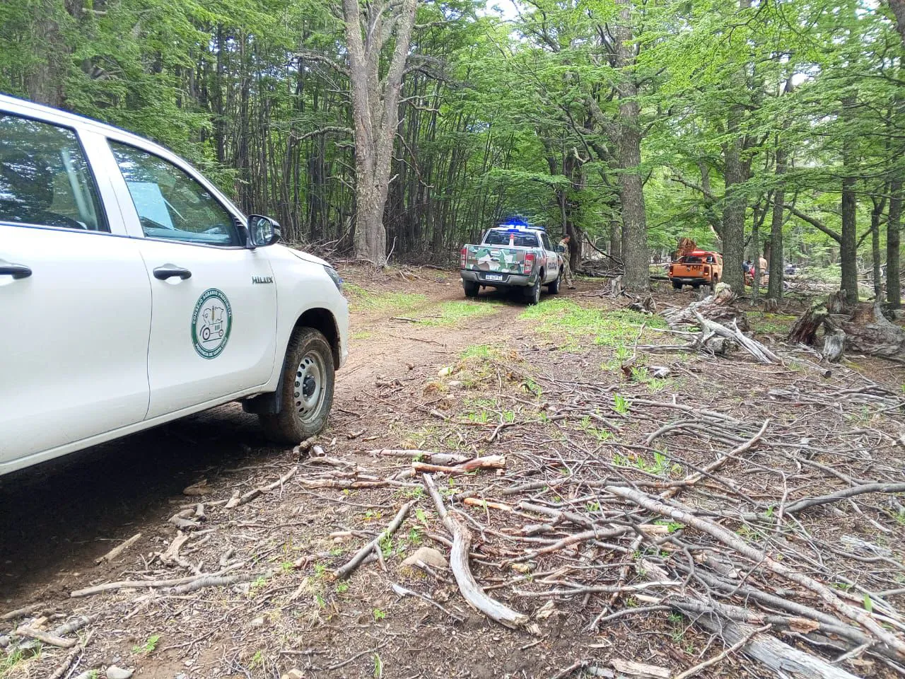 WhatsApp_Image_2025-12-16_at_14.08.43