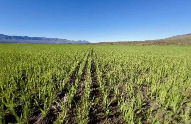 Captura-de-pantalla-2026-01-27-194314