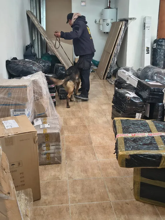 8c9daef1-bb06-4868-8e91-bde783f8d194