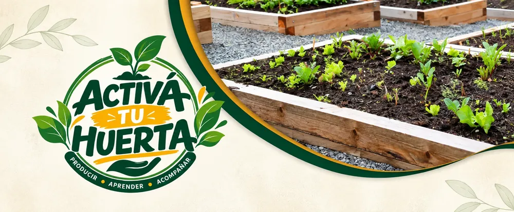 huerta