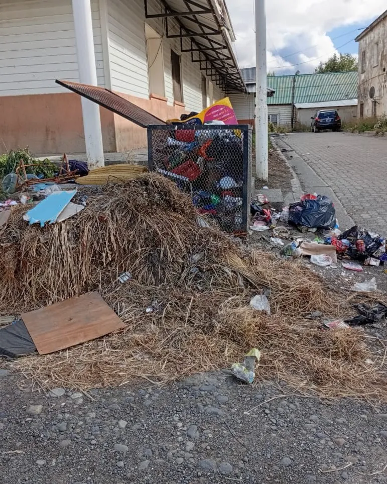 627943063_1335154995313867_8551264113881566162_n