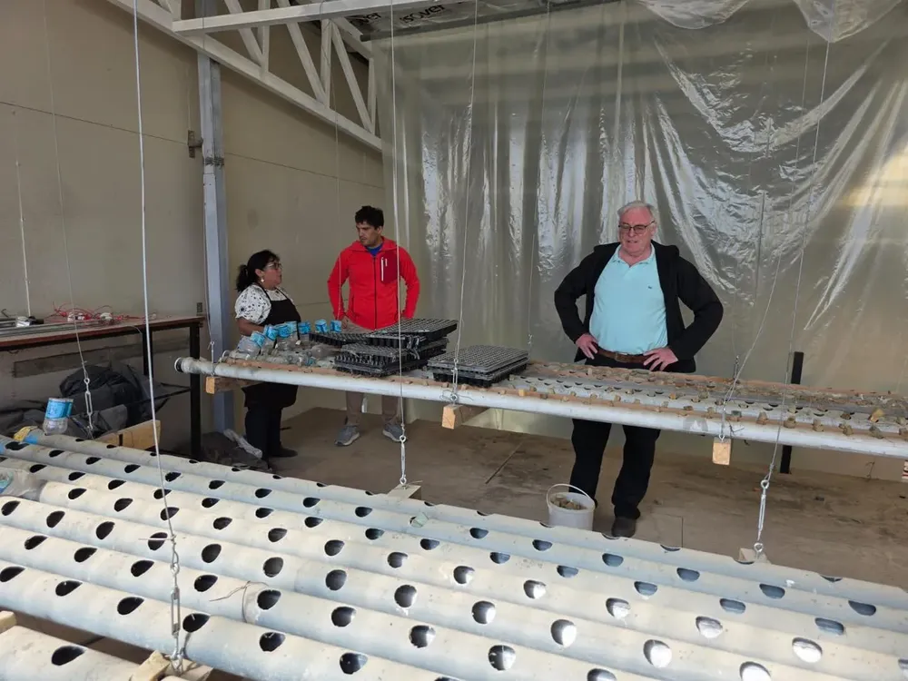 641265093_122287789652218828_2598346072978749749_n