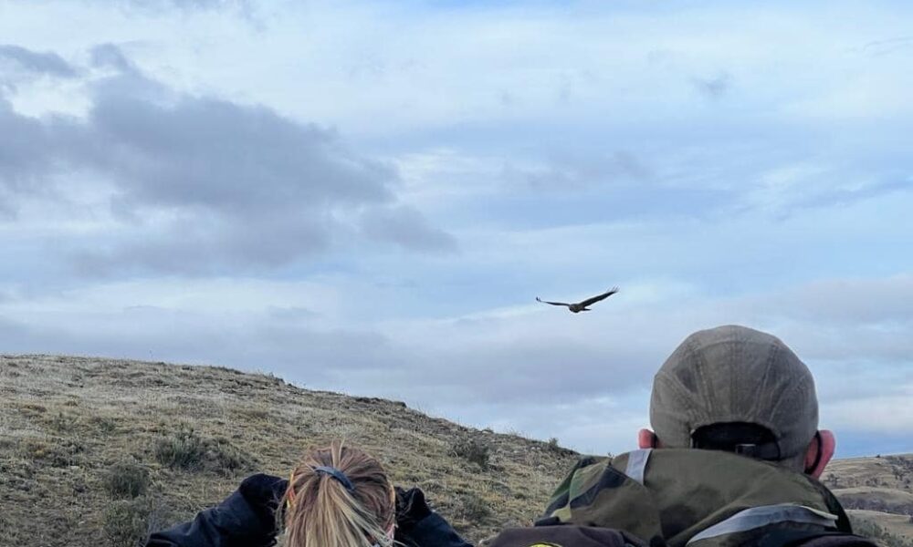 Foto: Huellas Patagónicas