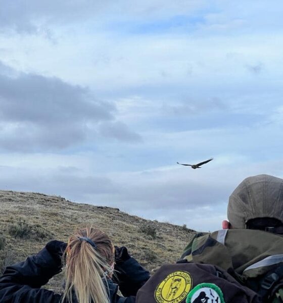 Foto: Huellas Patagónicas